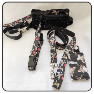 Pack Paseo Perfecto Gizmoo