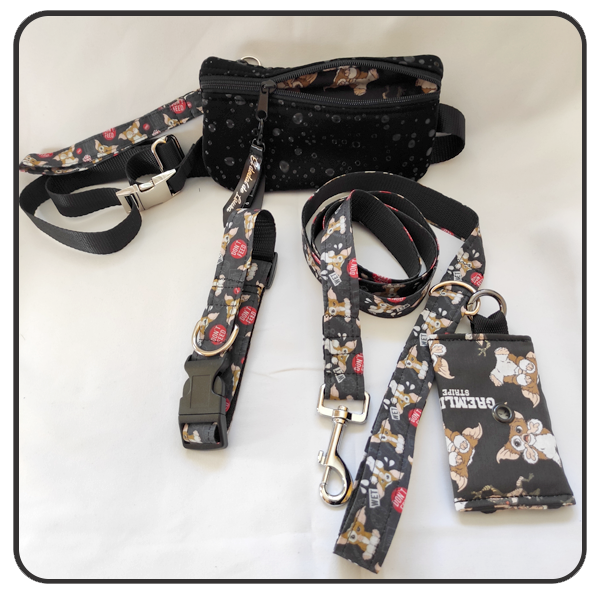 Correa10 Pack Paseo Perfecto Gizmoo