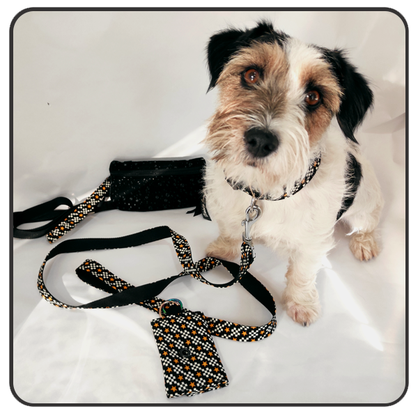 Correa9 Pack Paseo Perfecto Estrellas